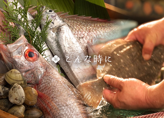 魚介料理イメージ