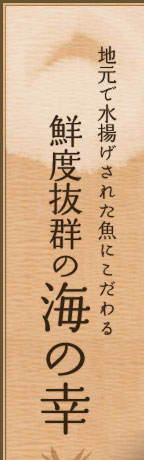 地元で水揚げされた魚にこだわる
鮮度抜群の海の幸