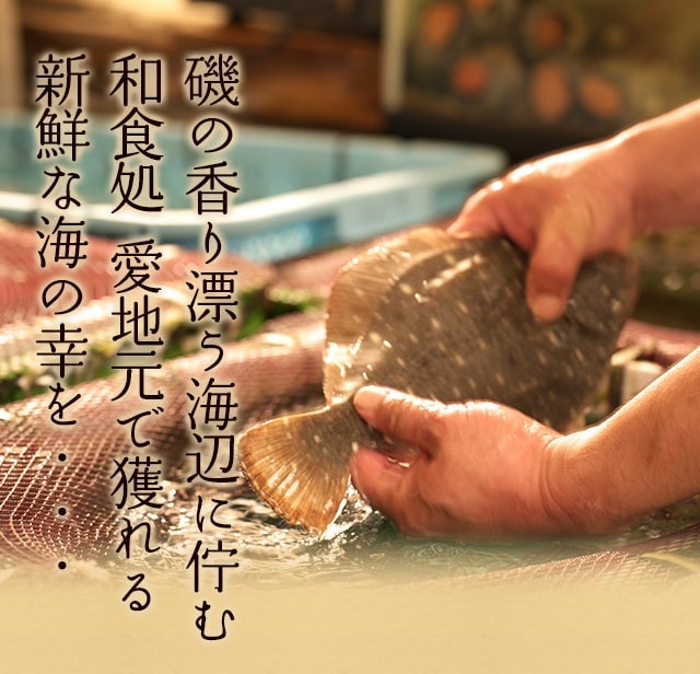 磯の香り漂う海辺に佇む
