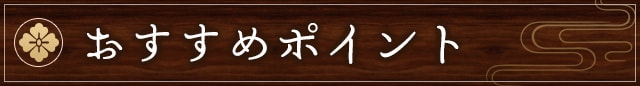 おすすめポイント