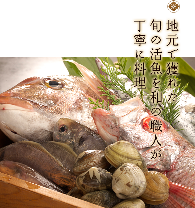 三河湾で水揚げされた