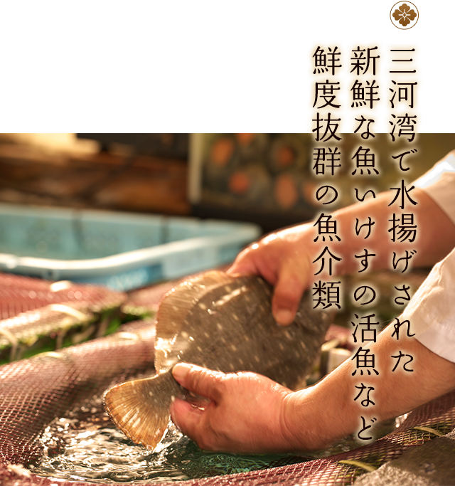 地元で獲れた