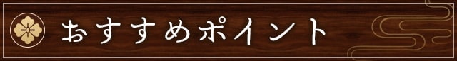 おすすめポイント