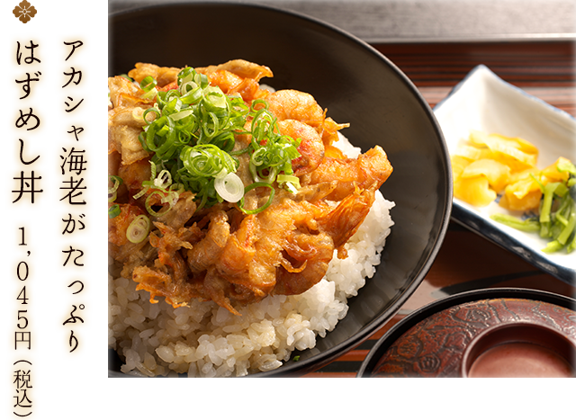 はずめし丼